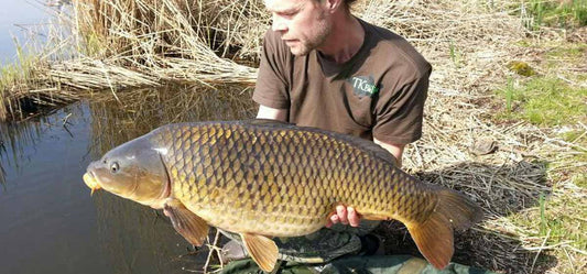 World Carp Classic 2017 Lac de Madine