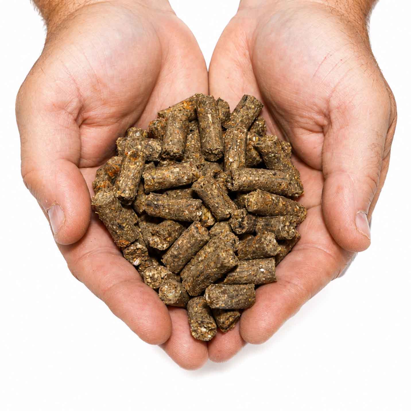 TK’s Black Hunter Pellets – snel oplosbare karperpellets voor extra attractie op de stek