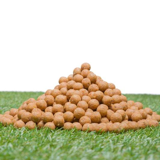 Boilies Freezerbaits Brown Tasty