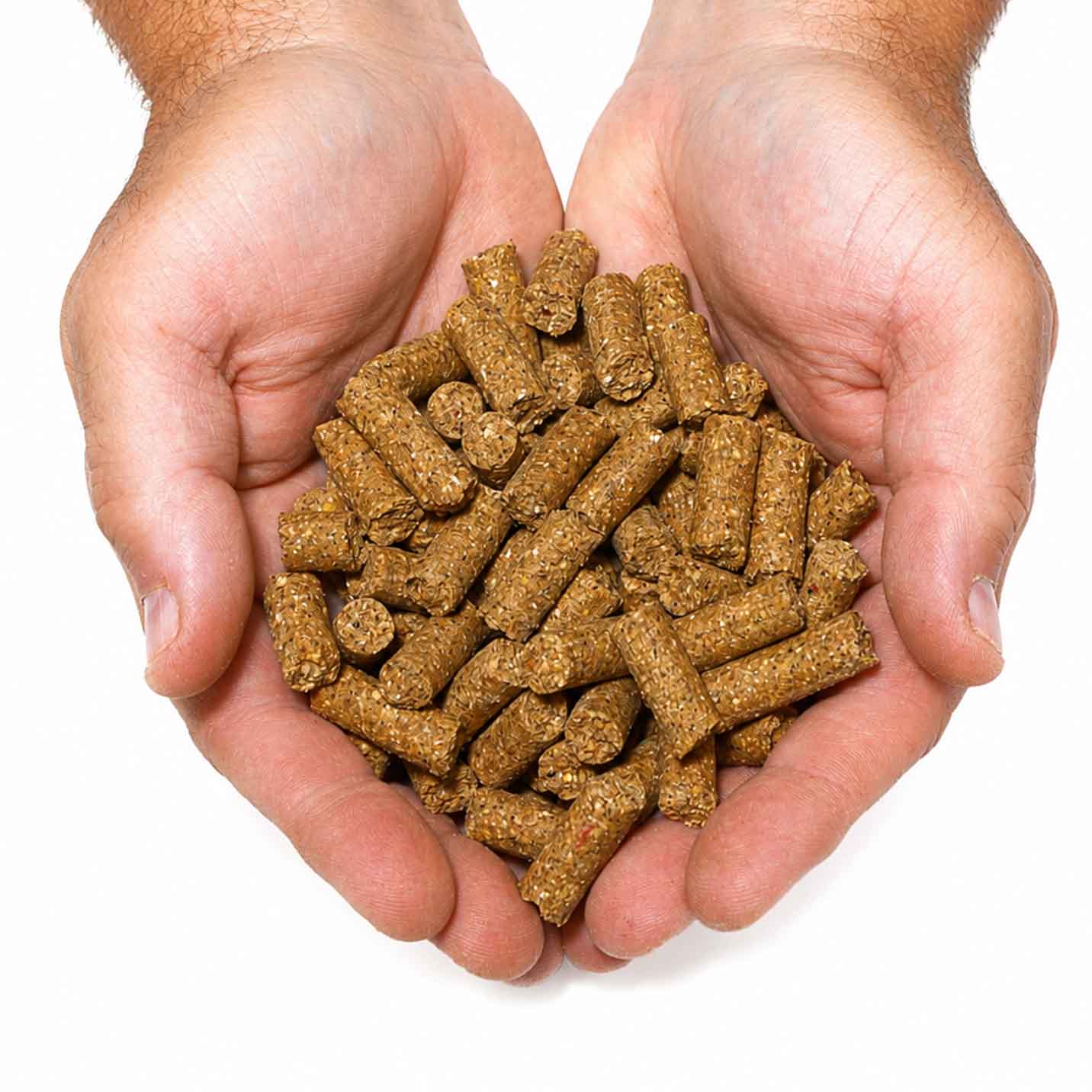 TK’s Brown Tasty Pellets – snel oplosbare karperpellets voor extra attractie op de stek