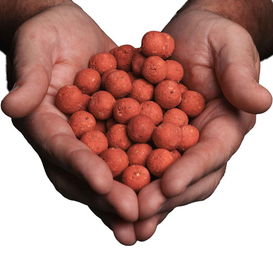 TK's Pink Creamer Freezerbaits 2,5KG