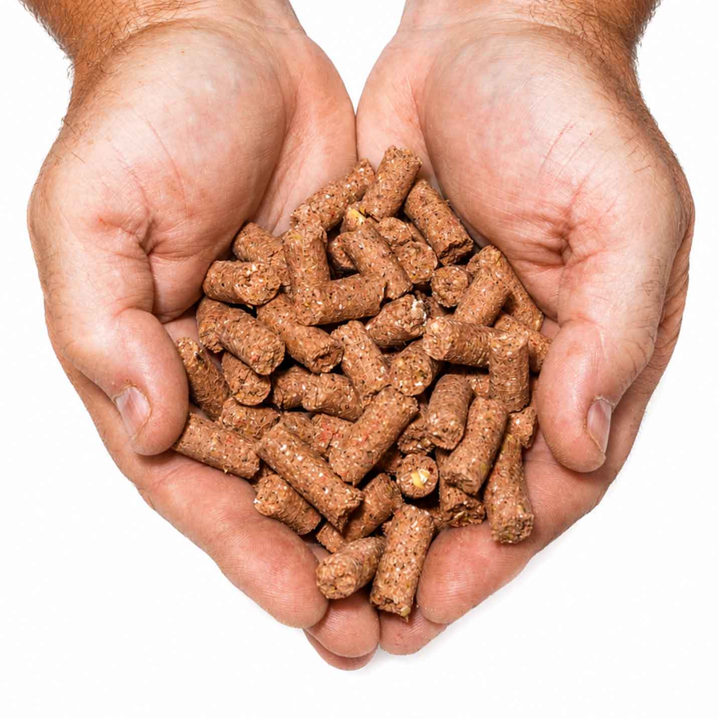 TK’s Pink Creamer Pellets – snel oplosbare karperpellets voor extra attractie op de stek