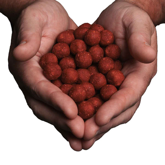 TK's Red Mani Spy Freezerbaits 2,5KG