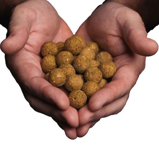 TK's Yellow Victory Freezerbaits 2,5KG