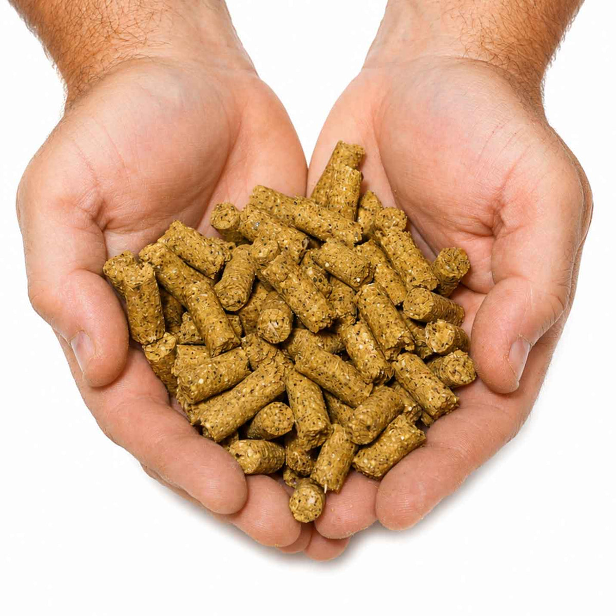 TK’s Yellow Victory Pellets – snel oplosbare karperpellets voor extra attractie op de stek